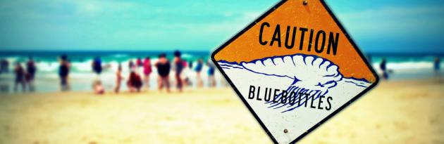 Life's a Beach: Safety On The Sand and Surf - MyDriveHoliday